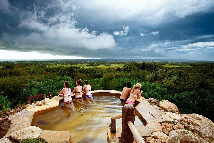Seals, Sea Dragons & Hot Springs Experience Mornington Peninsula