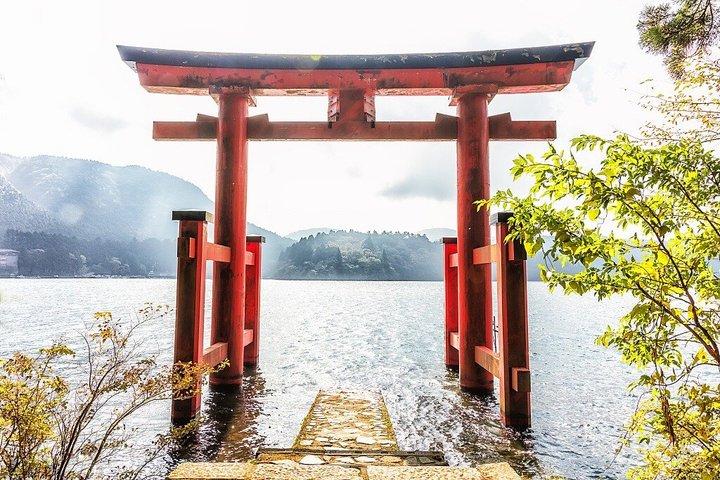 Mount Fuji Hakone-resa med repväg (tillval)