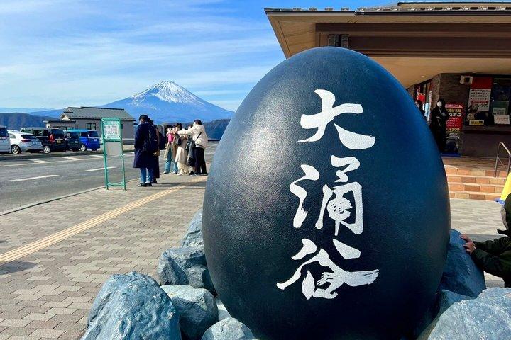 Mount Fuji Hakone Trip met kabelbaan Optionele Kogeltrein Retour