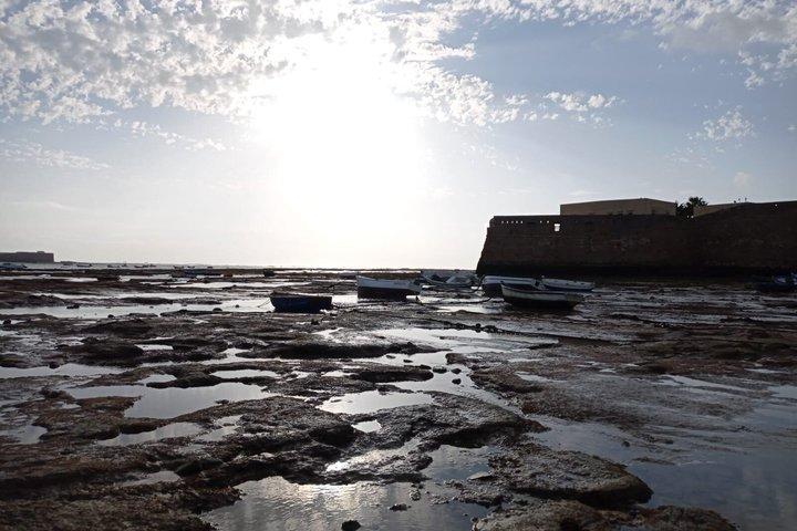 Excursão Privada VIP em Cadiz