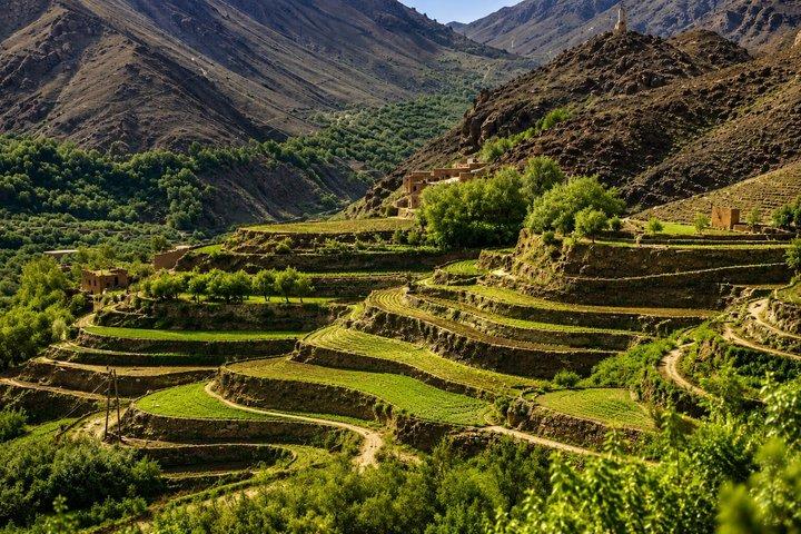 Marrakech Atlas Mountains 4 Valleys Cascate e giro in cammello