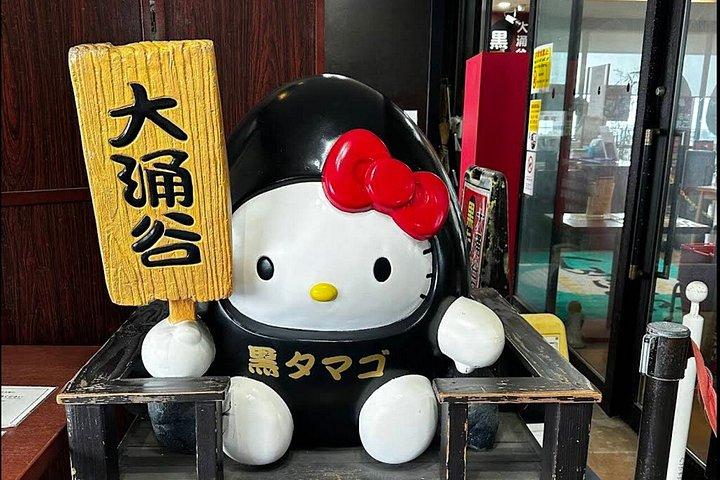 Mount Fuji Hakone Trip met kabelbaan Optionele Kogeltrein Retour