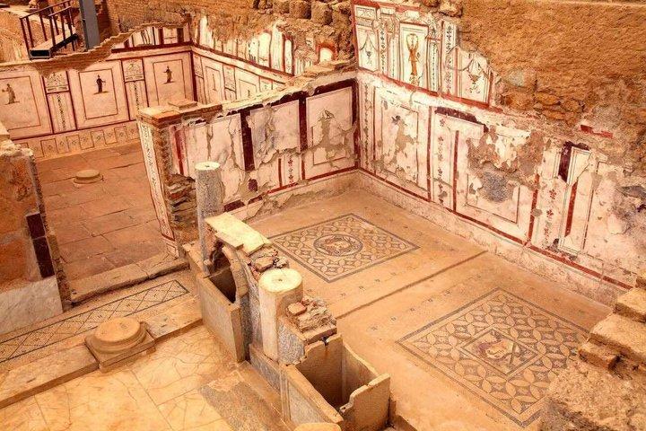 Small Group Ephesus & Terrace Houses Tour Kusadasi Port Cruisers