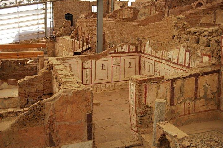 Small Group Ephesus & Terrace Houses Tour Kusadasi Port Cruisers
