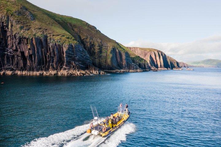 Dingle Sea Safari - Rib boat tour in Dingle Bay