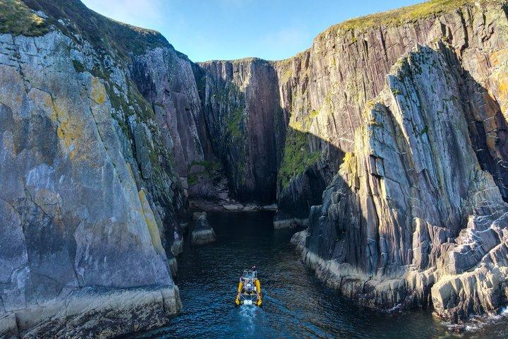 Dingle Sea Safari - Tour in gommone nella baia di Dingle