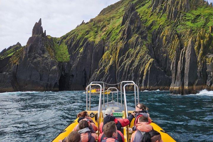Dingle Sea Safari - Tour in gommone nella baia di Dingle