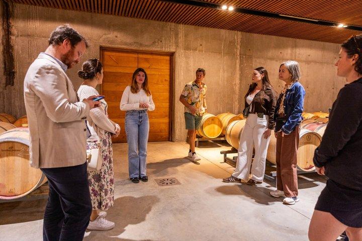 Tour enologico di un'intera giornata a Bordeaux - 3 cantine e pranzo picnic gourmet