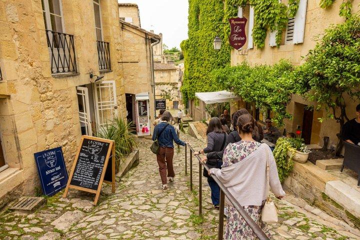 Tour enológico por las tumbas y Saint-Emilion | 3 castillos y picnic gourmet