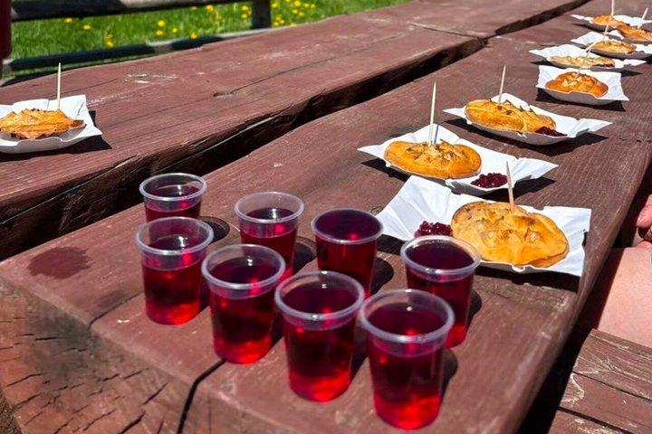 Day Tour to Zakopane and Tatra Mountains from Krakow