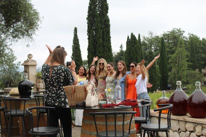 Tour di un'intera giornata da Cannes