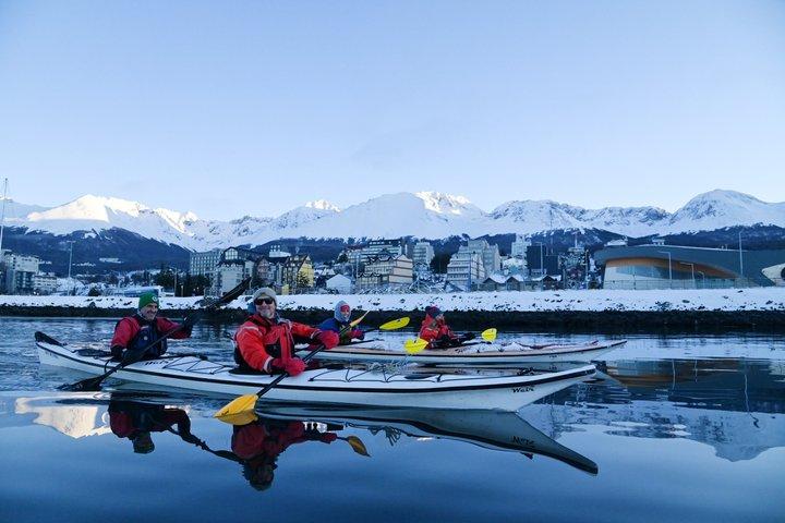 Beagle Channel Kayaking Adventure in Ushuaia