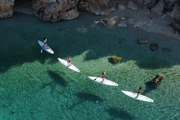 Guided Eco Tour on Electric Paddleboards in Bermuda