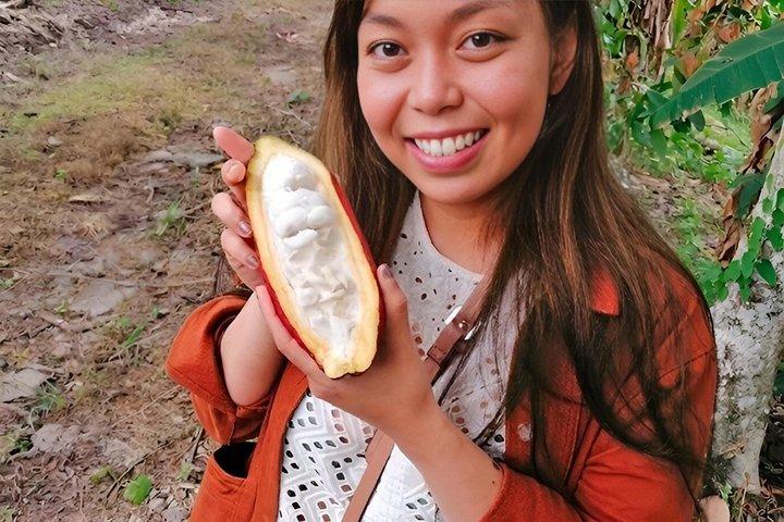 Tour del Cacao Coffee Region, una experiencia alrededor del cacao