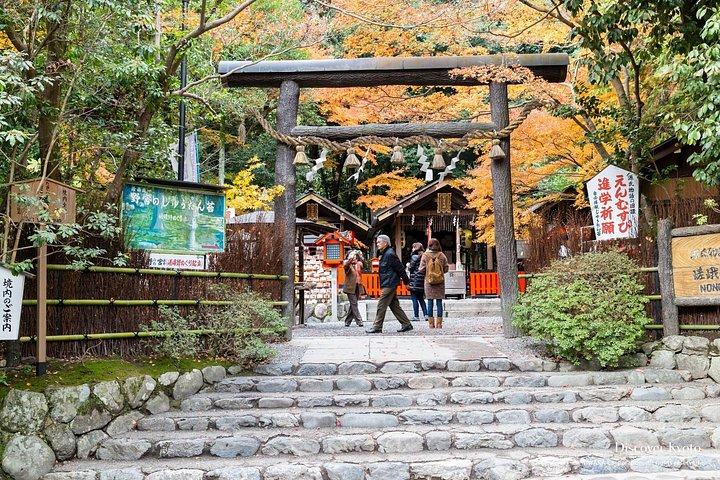嵯峨野鉄道保津川ツアーで京都と嵐山を巡る