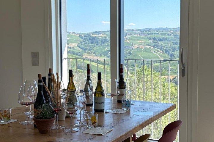 Wine Tasting with a View on the Border of Barbaresco