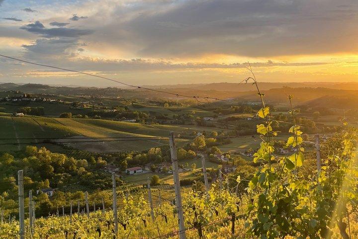 Degustazione di vini con vista sul confine del Barbaresco
