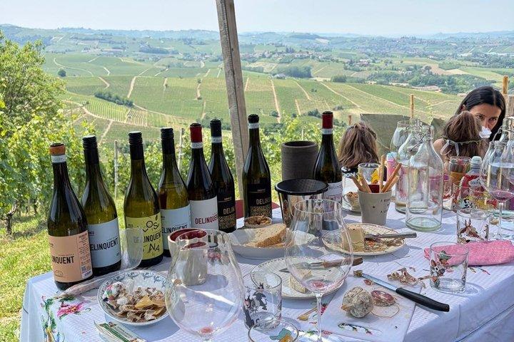 Degustazione di vini con vista sul confine del Barbaresco