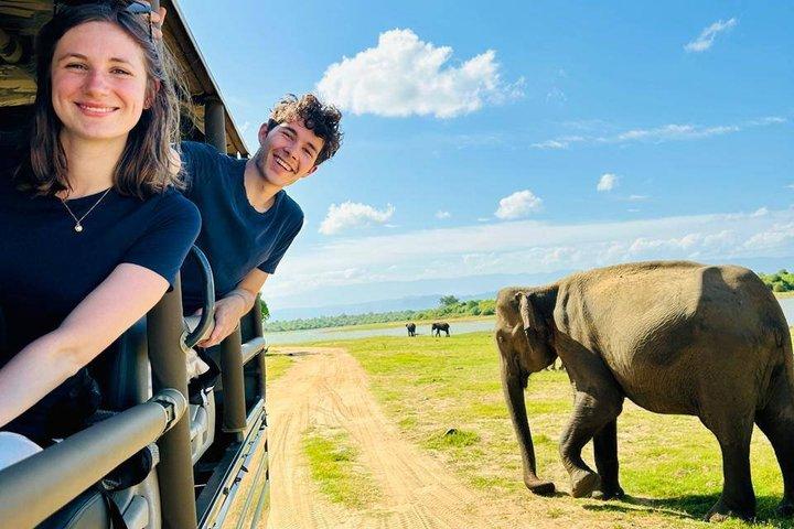 Udawalawe National Park Safari with Experienced Driver