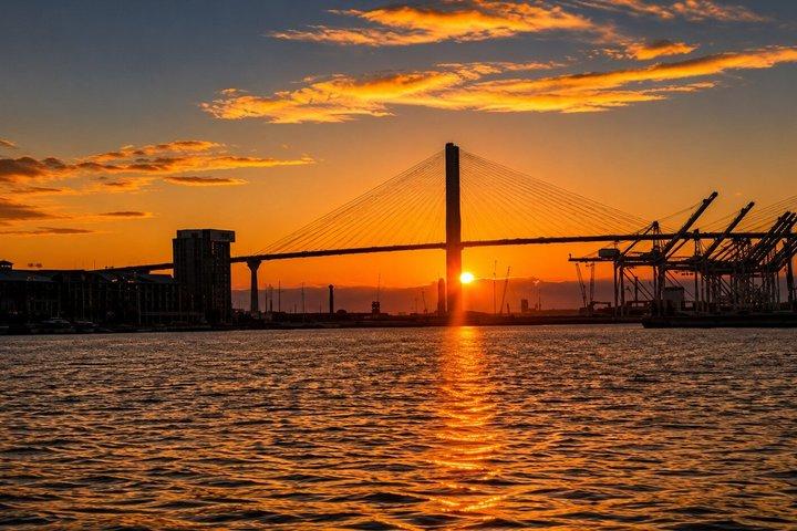 Savannah Sunset Delfin-Ökotour