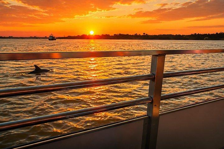 Tour ecológico de delfines al atardecer