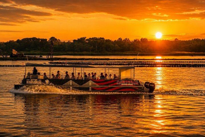 Savannah Sunset Delfin-Ökotour