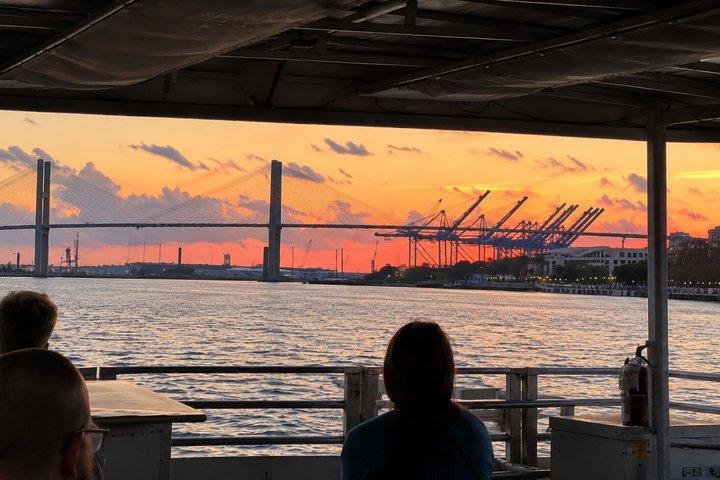 Savannah Sunset Delfin-Ökotour