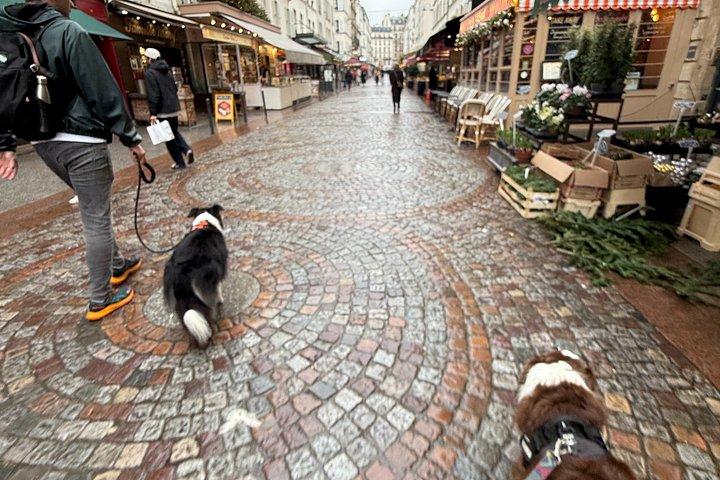 パリ・コンシェルジュからプティ・パレ・ウォークまでシェア
