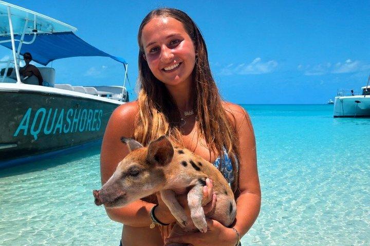 Exuma Powerboat Tour fra Nassau med svømmende grise