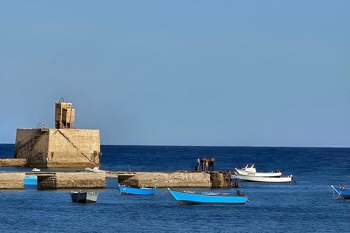 Private Egypt Limousine Service in Marsa Alam with Trip Support