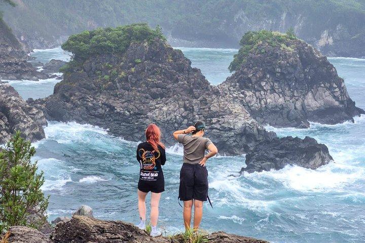 Jeju South Scenic Tour : Hallasan Trail Camellia Hill & Watervallen