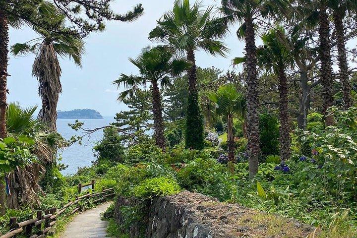 Jeju South Scenic Tour : Hallasan Trail Camellia Hill & Watervallen