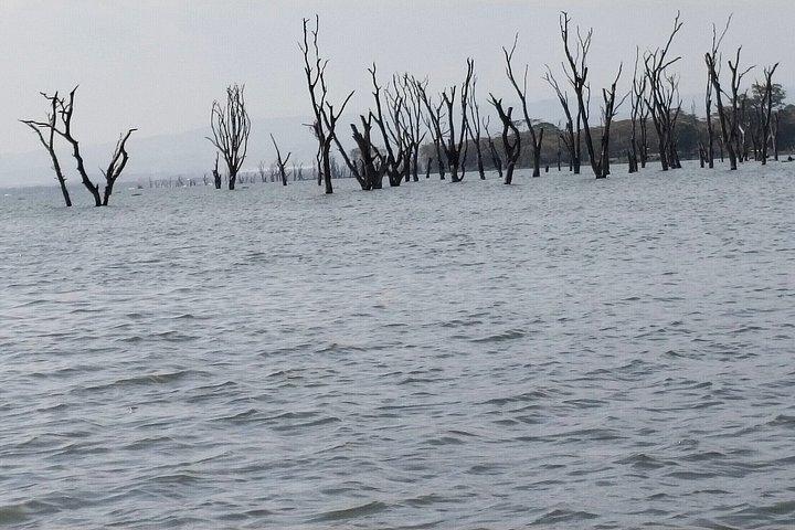 ナイロビ発ヘルズゲート国立公園とナイバシャ湖への日帰り旅行