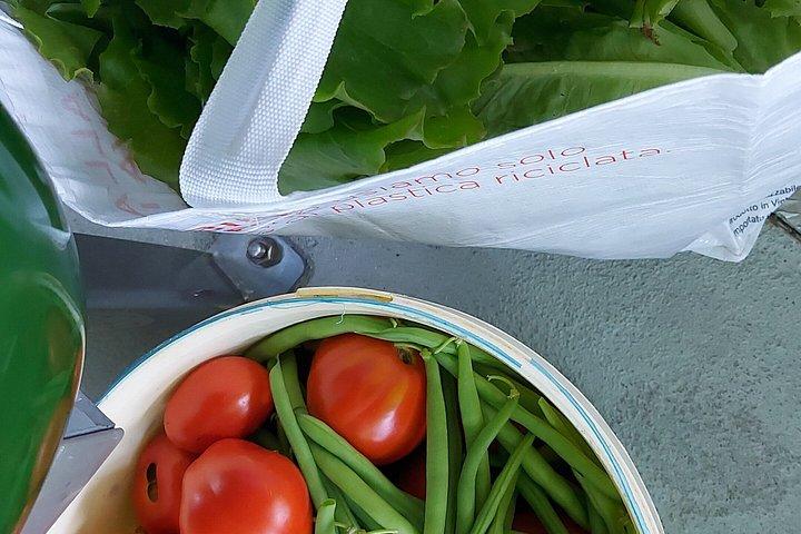 Farm-to-Table : ベネチアラグーンの水上ボートピクニック