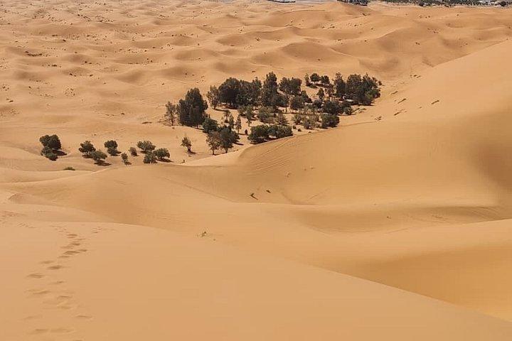 3-dages tur i Merzouga-ørkenen