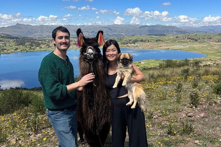 Escursione con gli alpaca a Chinchero e picnic