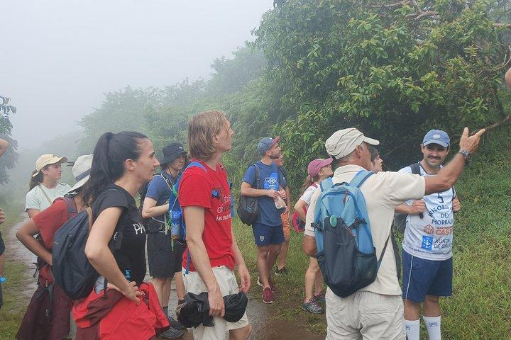 Visite à pied du volcan Sierra Negra et du volcan Chico depuis l'île Isabela