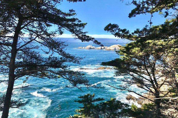 San Francisco, Yosemite & 17 - Mile Drive 3 - Excursión de un día desde LA