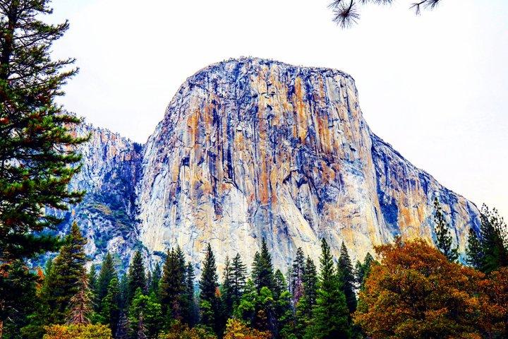San Francisco, Yosemite & 17 - Mile Drive 3 - Excursión de un día desde LA