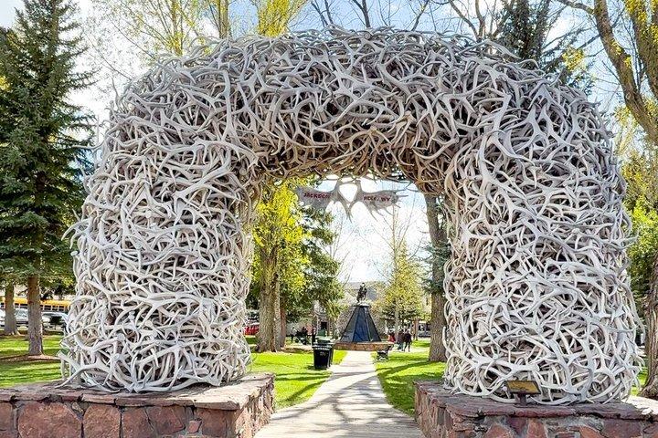 グランドティトン、イエローストーン国立公園、ラスベガス LA発 8日間ツアー