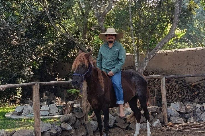 本物のペルーを味わおう:ライブクッキング、パソ馬、そして農場生活