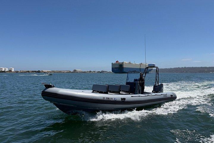Experience San Diego Dolphin Watching Shared Tour