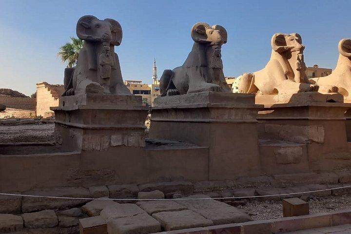 Luxor Tour : Re, Hatshepsut & Memnon