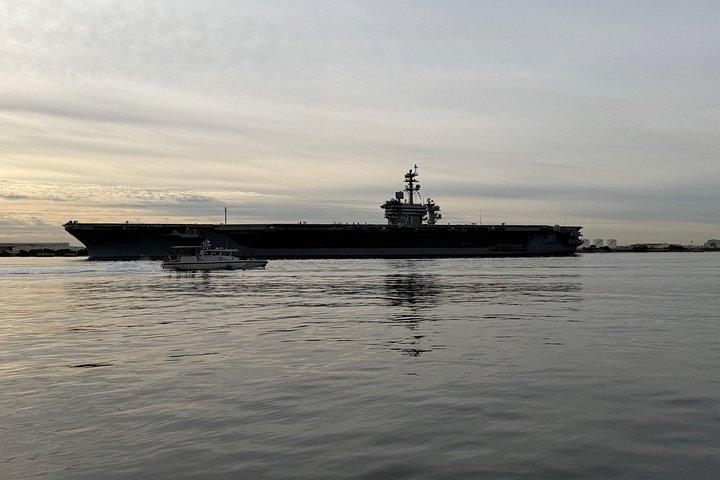 Experience San Diego Dolphin Watching Shared Tour