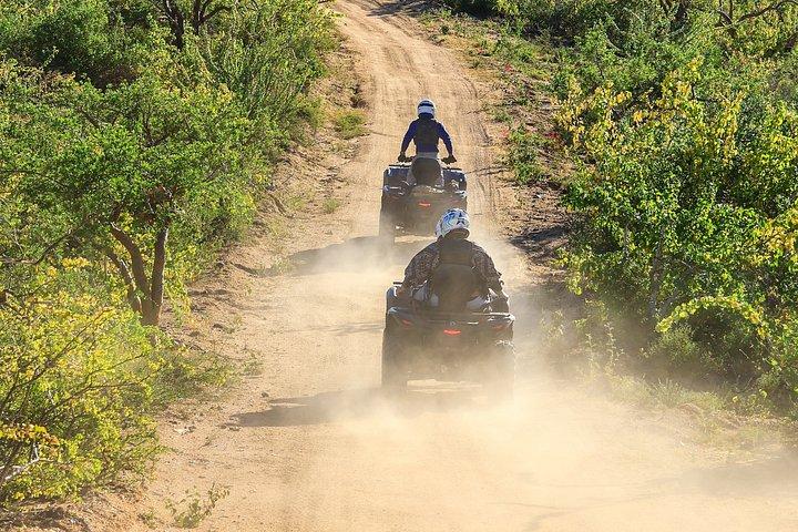 Cabo Adventures | ATV Desert Adventure + Buffet & Tequila