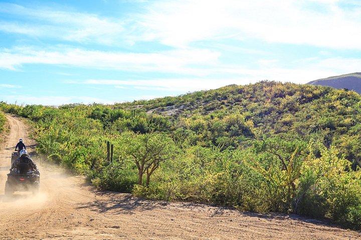 Cabo Adventures | ATV Desert Adventure + Buffet & Tequila