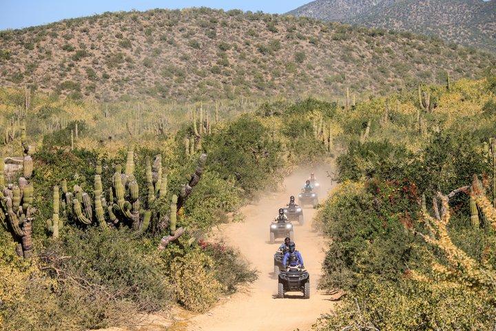 Cabo Adventures | ATV Desert Adventure + Buffet & Tequila