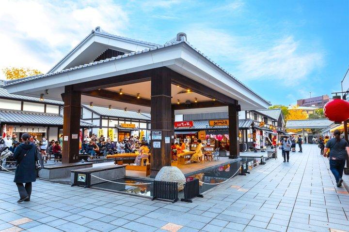 熊本城と水前寺庭園を巡る福岡日帰りツアー