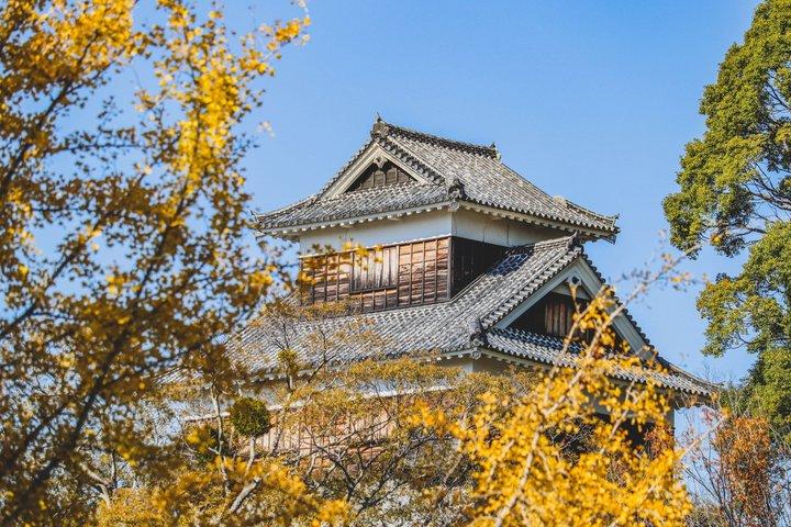 熊本城と水前寺庭園を巡る福岡日帰りツアー