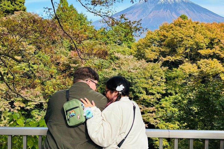Shiraito Falls, Sengen Taisha, World Heritage Centre Guided Van